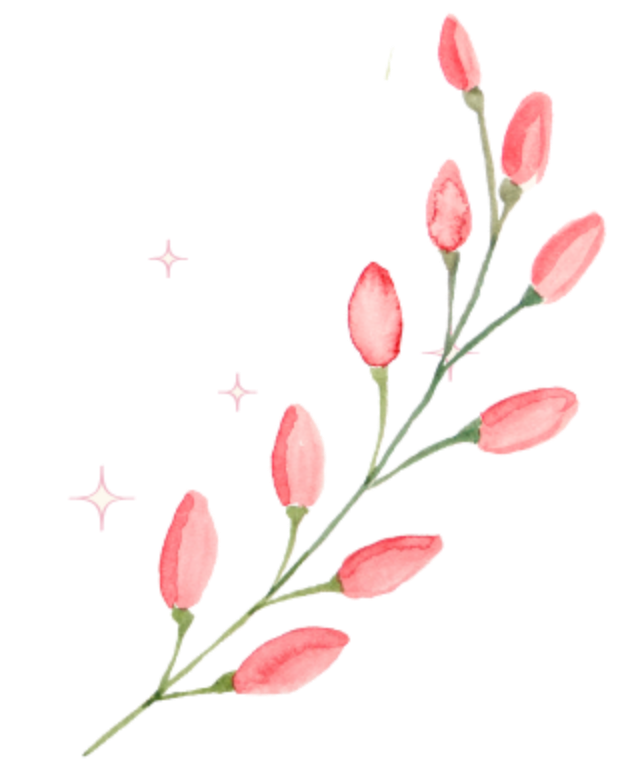 40代からハリツヤのある美肌を目指す方必見！